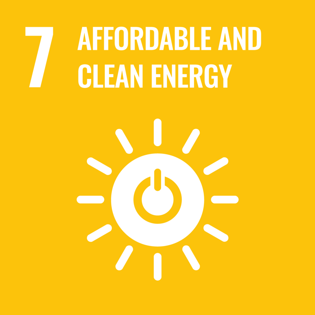 UN Sustainable Development Goals, SDG 7.