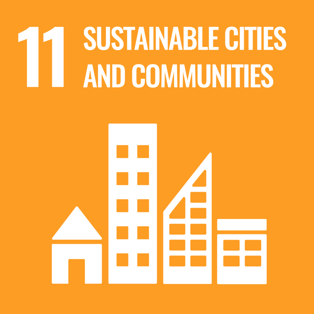 UN Sustainable Development Goals, SDG 11.