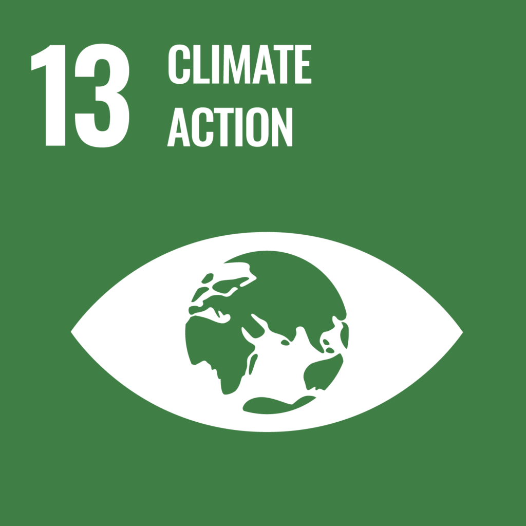 UN Sustainable Development Goals, SDG 13.