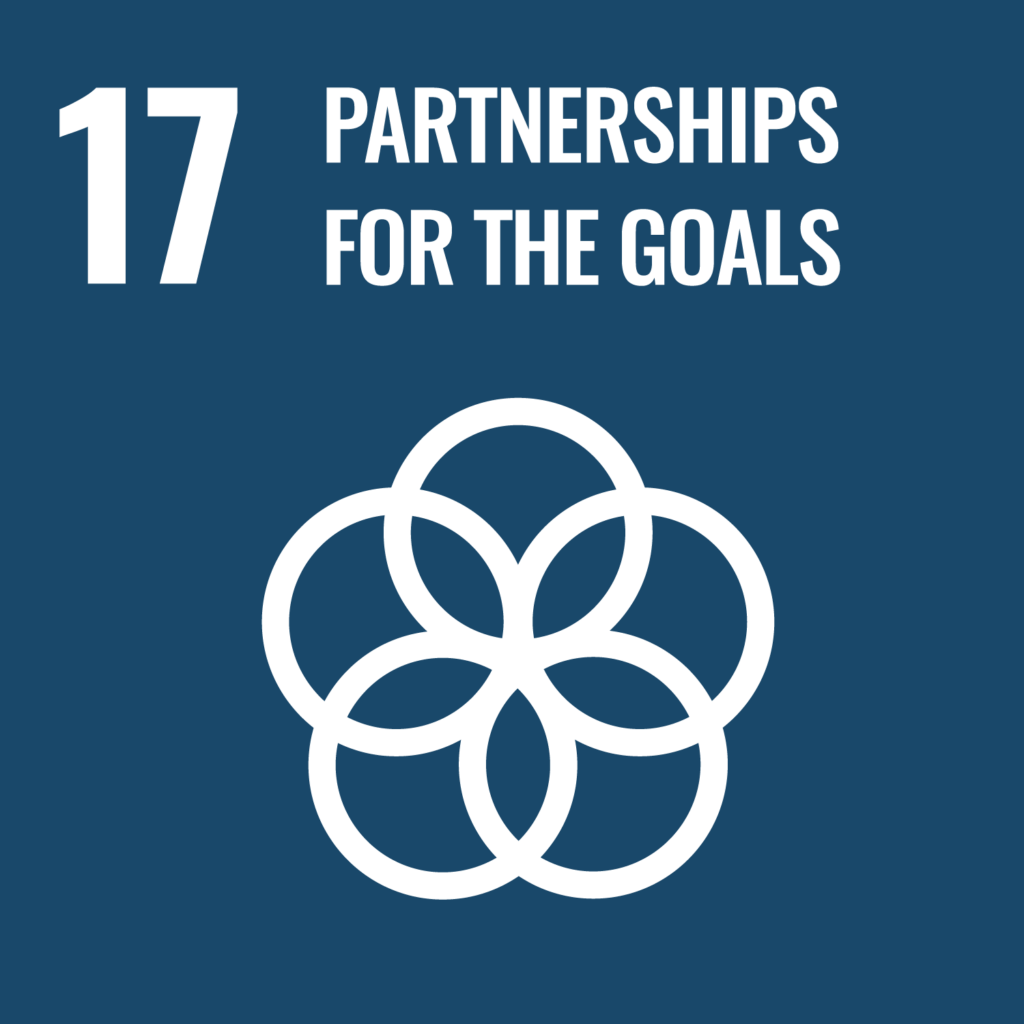 UN Sustainable Development Goals, SDG 17.